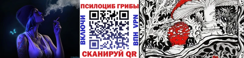 Купить где  Евпатория  Галлюциногенные грибы GOLDEN TEACHER 